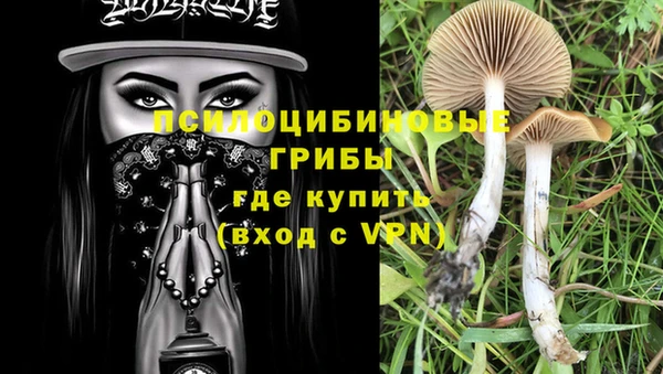 дживик Волосово