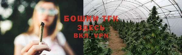 дживик Волосово