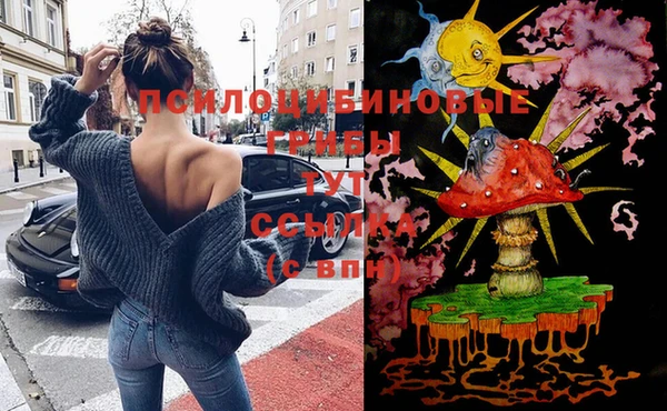 дживик Волосово