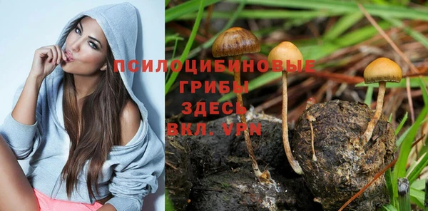 2c-b Волоколамск