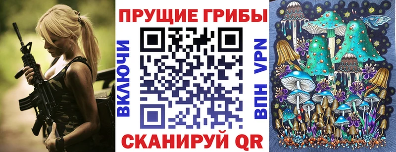 Галлюциногенные грибы GOLDEN TEACHER  Купить закладки  Холмск 